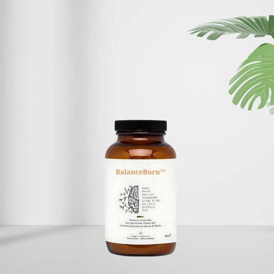 BalanceBurn